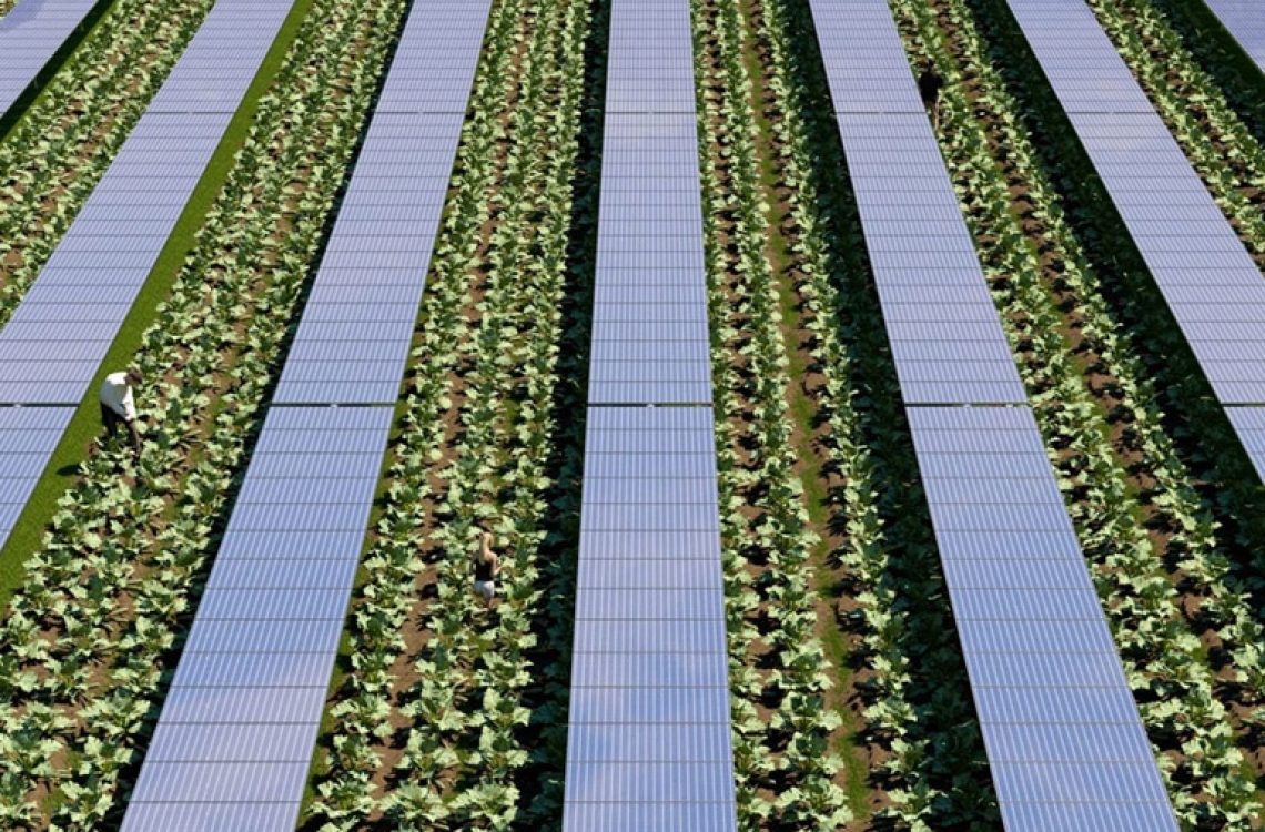 Connection-Conversione-elettrica-agricultura
